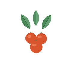 Ashwagandha (Withania Somnifera)