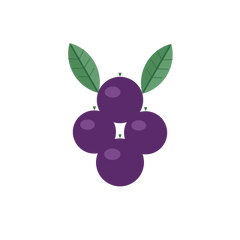 Jamun