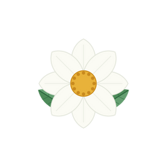 Nagkesar