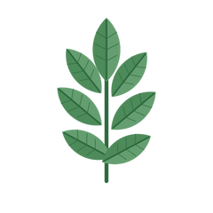 Neem